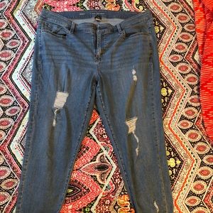 Lane Bryant size 20R pants